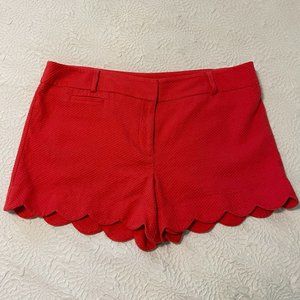 Ann Taylor LOFT Red Scalloped Dressy Shorts Size 14